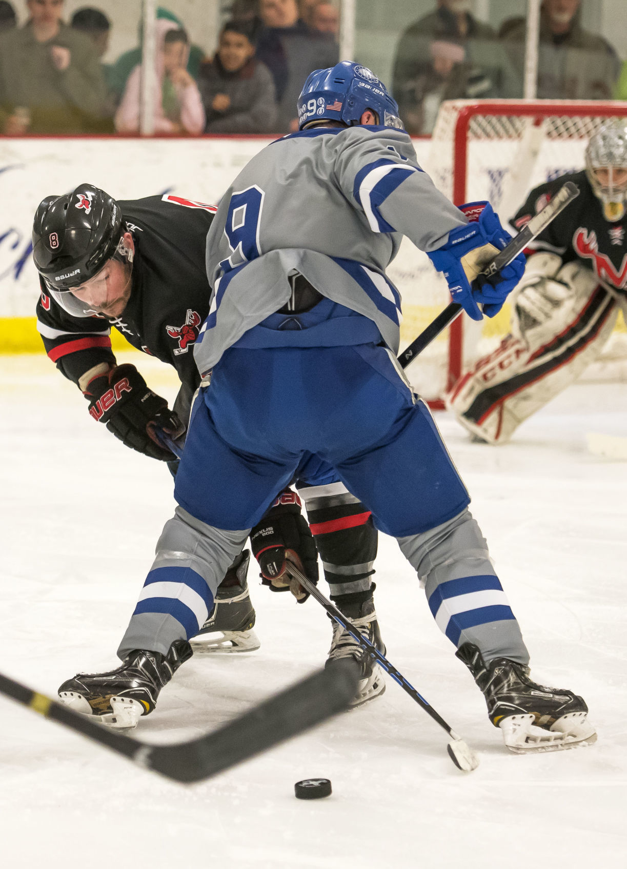 Moose hockey